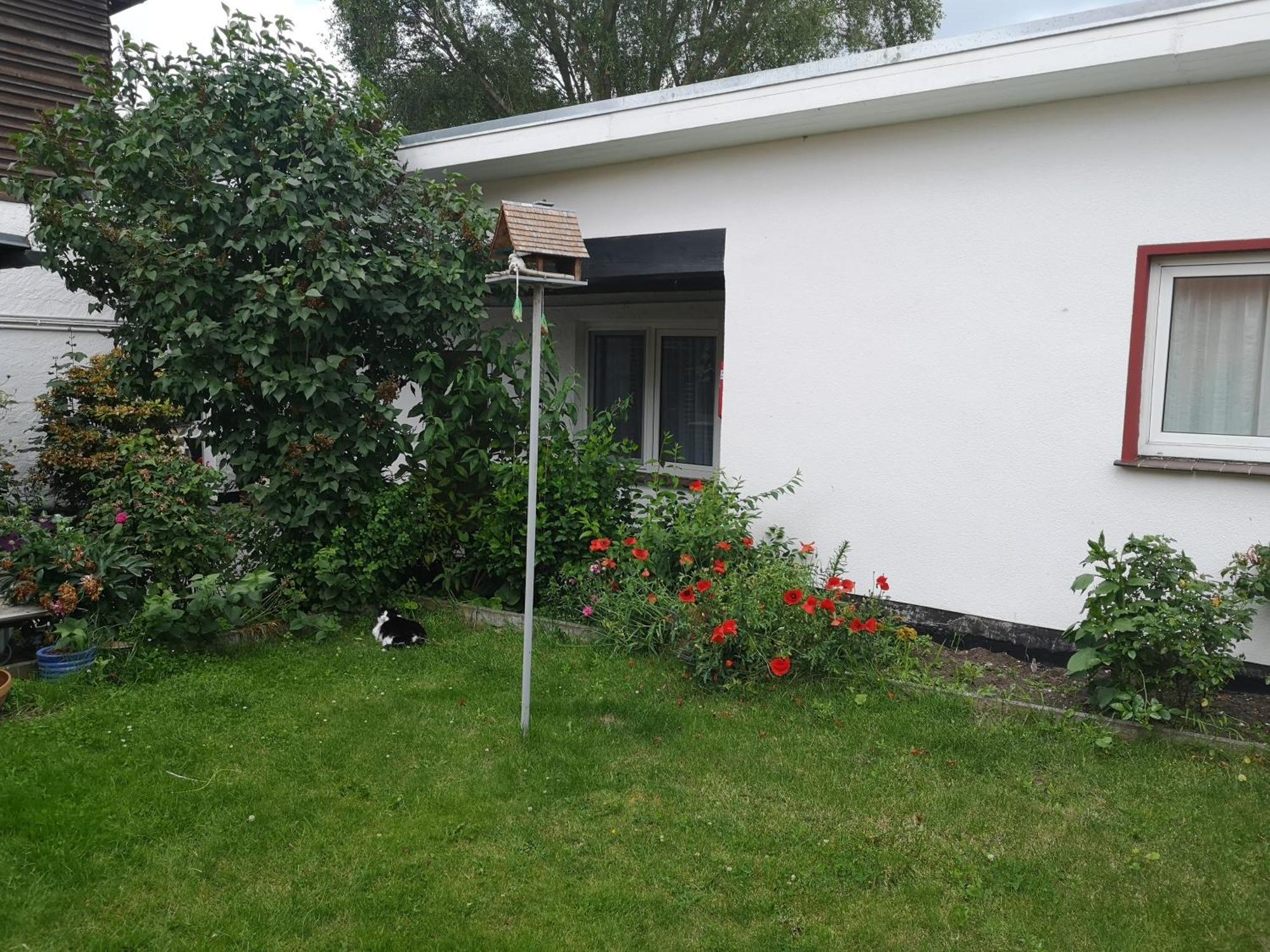 Uschi'S Gasthof Neuendorf  Ngoại thất bức ảnh